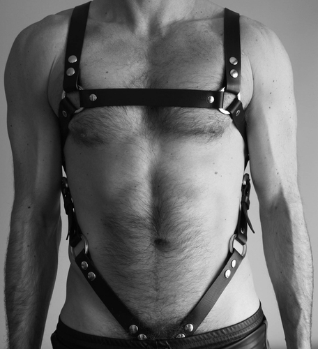 Men's harness belt