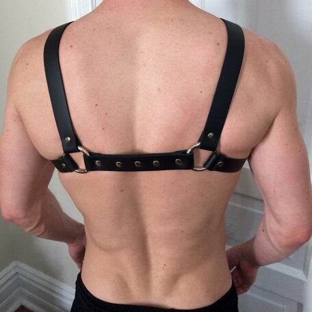 Men's harness Handle Back
