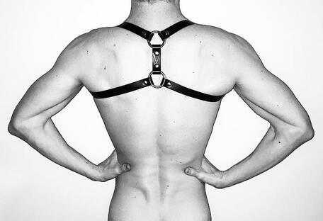 Men harness Fitted
