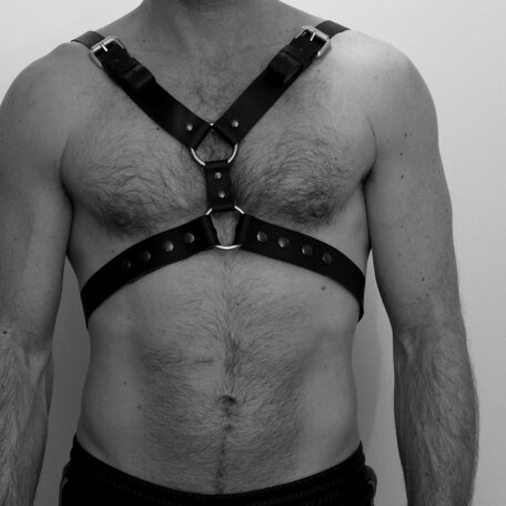 Mens harness belt