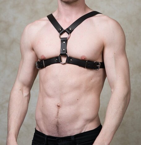 Men's belt Y Front Harness