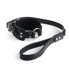 Collar & Leash "Carbon Snake"