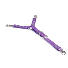 Adjustable 3 Point Fixation "Calypso" Purple