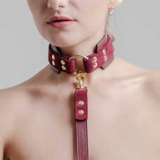 Collar & Leash "Fireball"