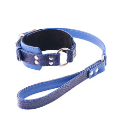 Collar & Leash "Electric Snake"