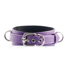 Collar & Leash "Calypso Purple" Collection